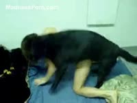 Pretty teenage is cheating on her manfriend by fucking with his dark dog